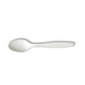 Heavy Weight Plastic Spoon